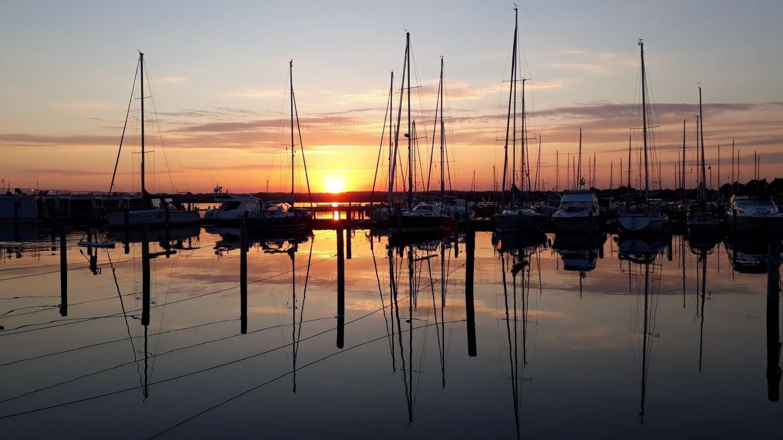 Forkælelse til båden i dit liv - Dansk Marine Center