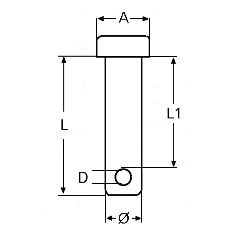 Rig bolt Ø12 L.40mm