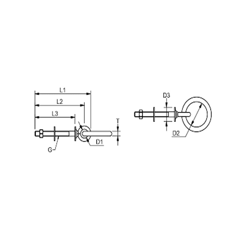 Ringbolt rustfri m/skive og møtrik BW