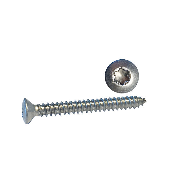 Screw lens head 5.5 x 50 a4 Torx 100pcs