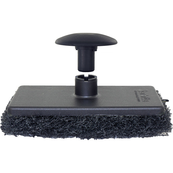 Star brite mushroom, Coarse