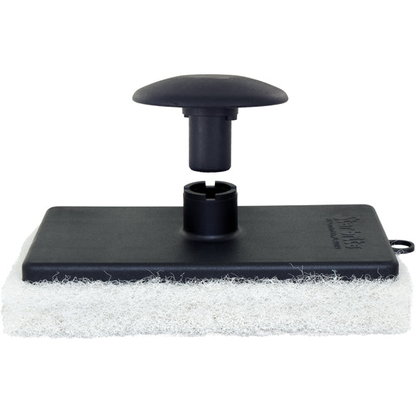 Star brite mushroom, Fin