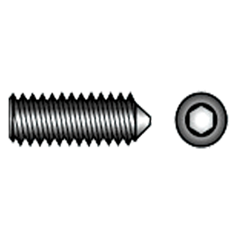 Pinolenschraube mit Spitze A4 M8x10 6/St