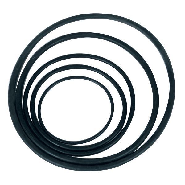 O-Ring an 12Vt Bowman