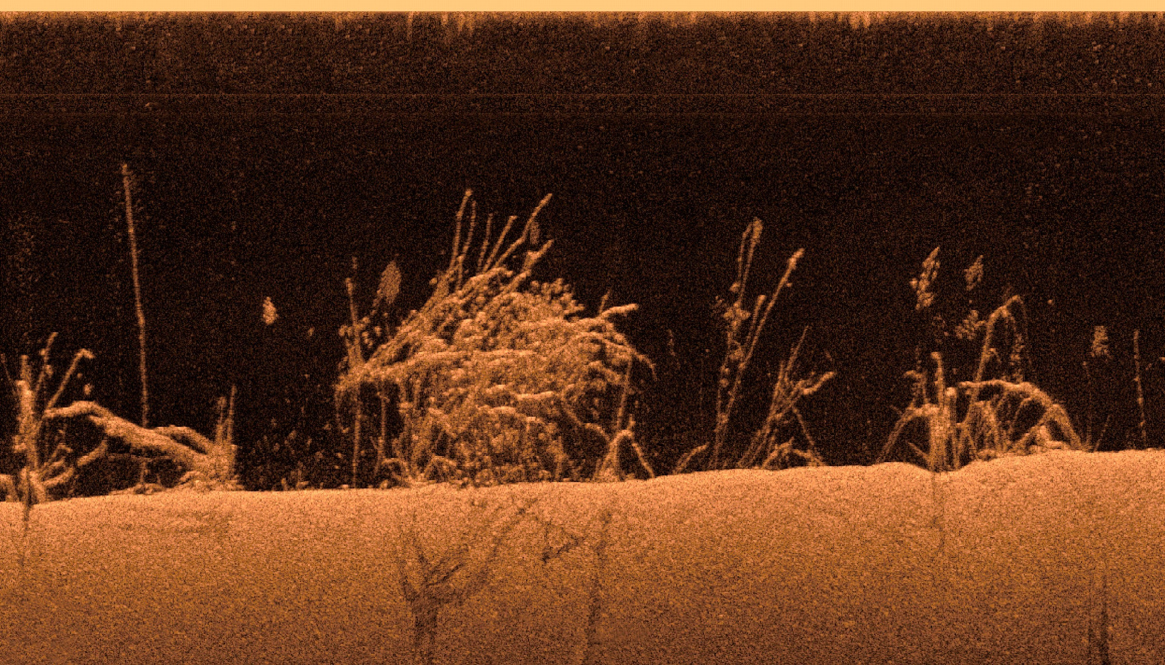 Garmin Ultra high-definition GCV™ 20 scanningsekkolodmodul