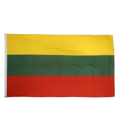 Flag guest Ærø 30cm