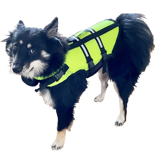 Rettungsweste für Hunde, Größe XS, 0–3 kg