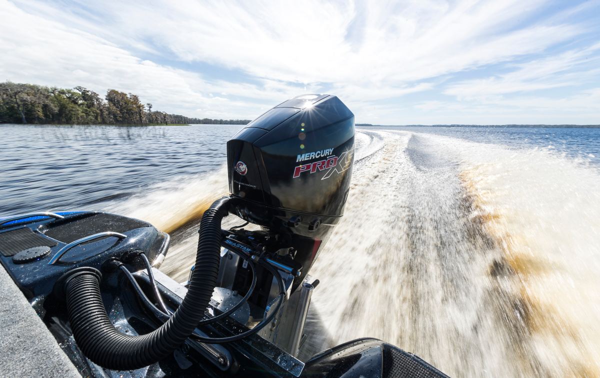 Mercury P 175 L / XL MS Pro XS