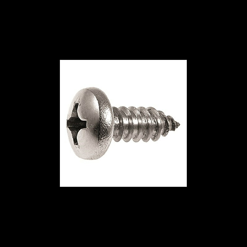 Protecq DIN 7981 2,9x9,5 20s