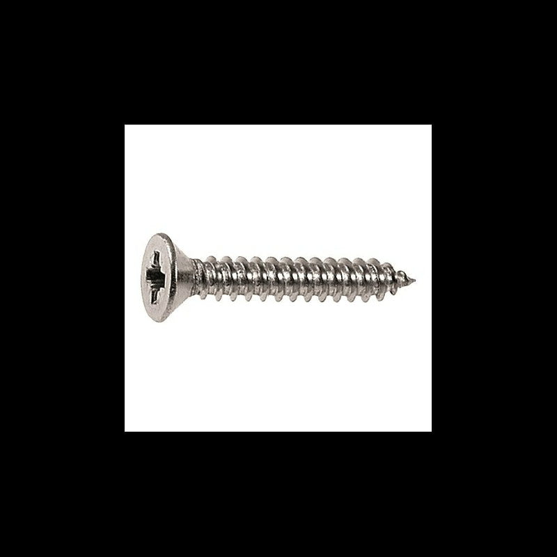 Protecq DIN 7982 2,9x9,5 20s