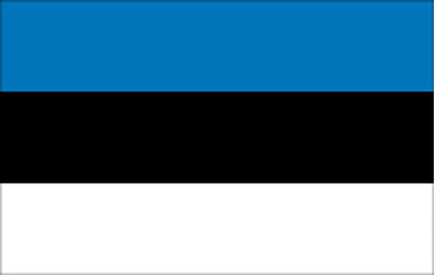 Gæsteflag, 45 x 30, Estland