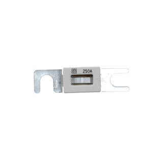 Fuse 100 amp ANL