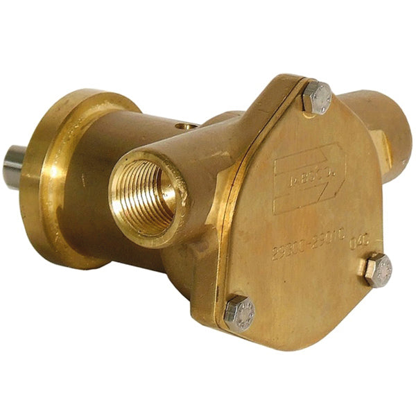Jabsco impeller pump BRZ CSM 060 BSP
