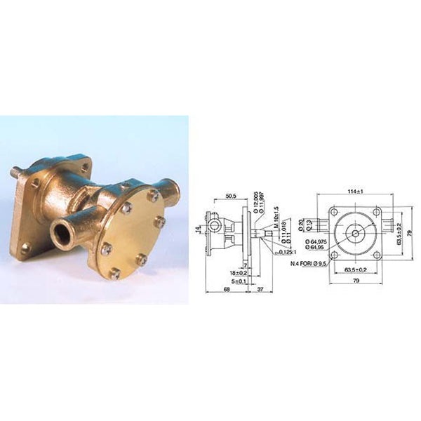 Pumpe med flange til motor