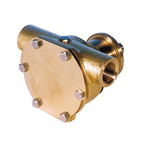 Pumpe med flange til motor