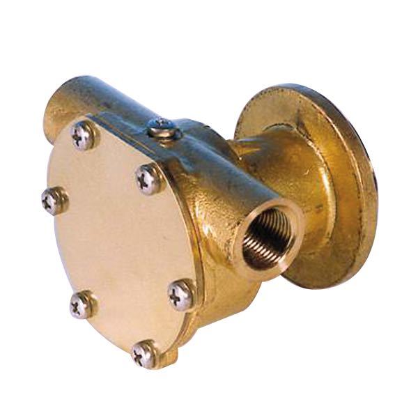 Pumpe med flange til motor