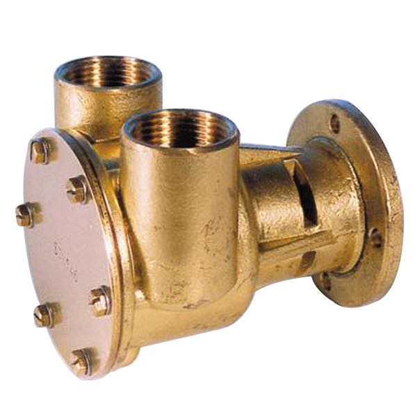 Pumpe med flange til motor