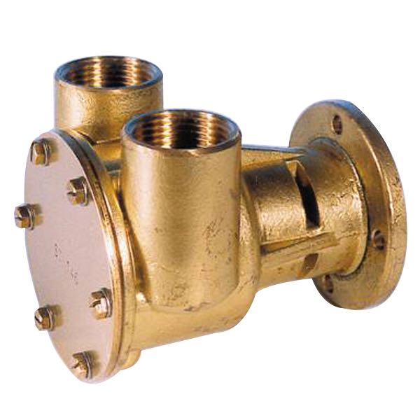 Pumpe med flange til motor