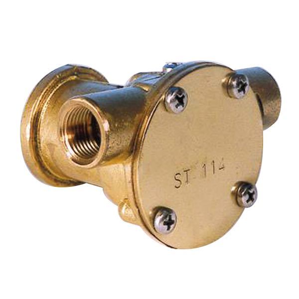 Pumpe med flange til motor
