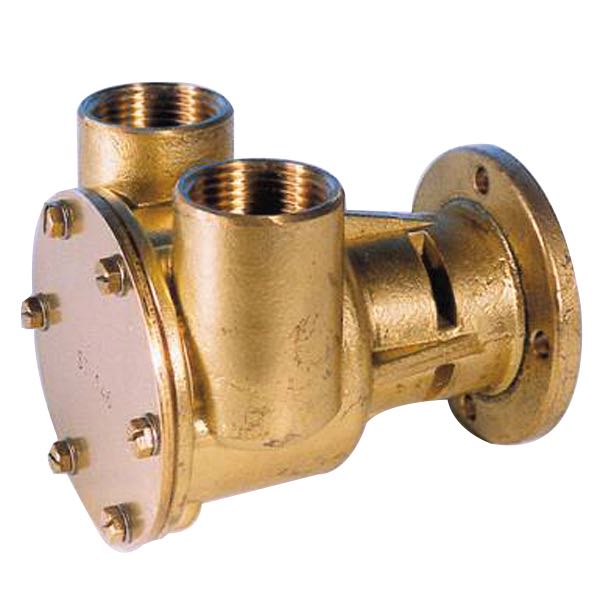 Pumpe med flange til motor