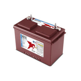 Trojan Batteri 12V