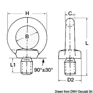 Männliche geschmiedete Ringschraube AISI316 8 mm