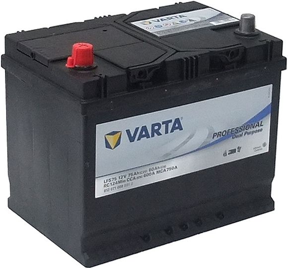 Batteri VARTA Professional Dual Purpose