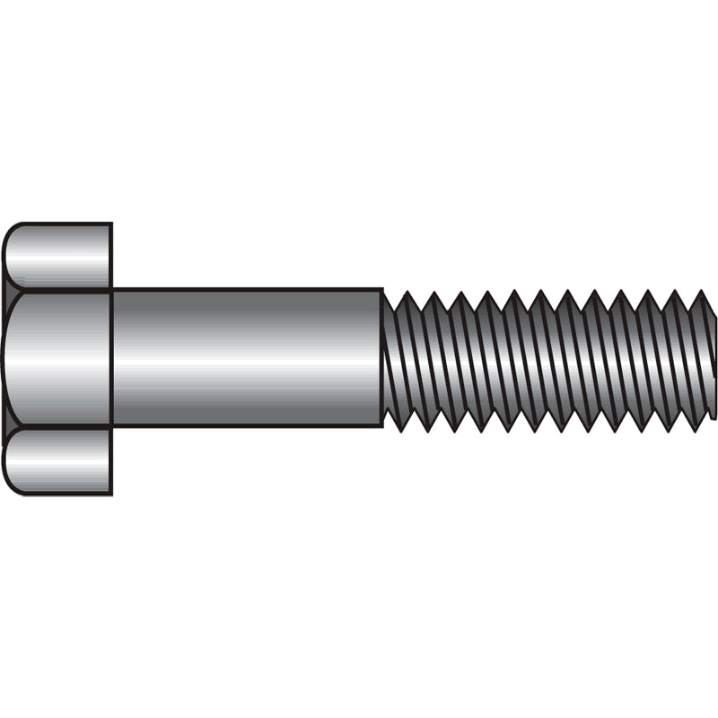 Bolt A4 M6x120 2/pc