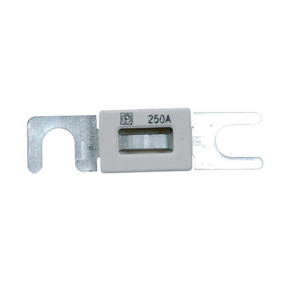Fuse 100 amp ANL