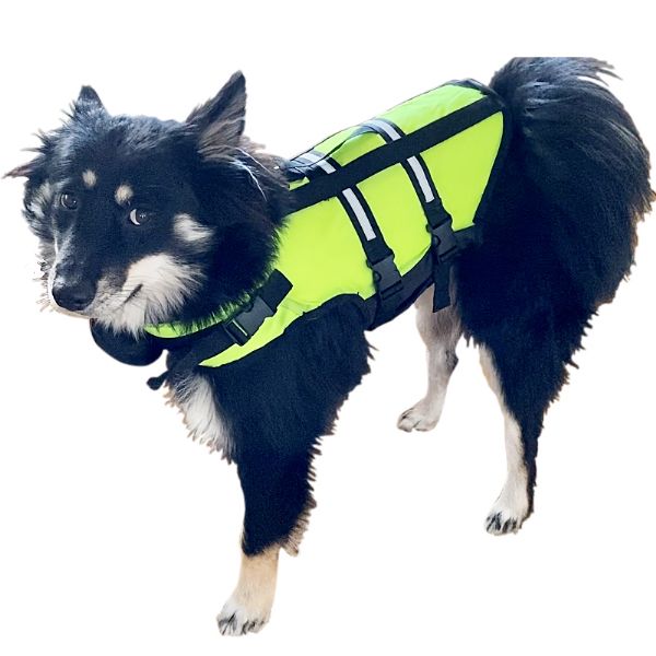 Hunderedningsvest str. XS  0-3kg