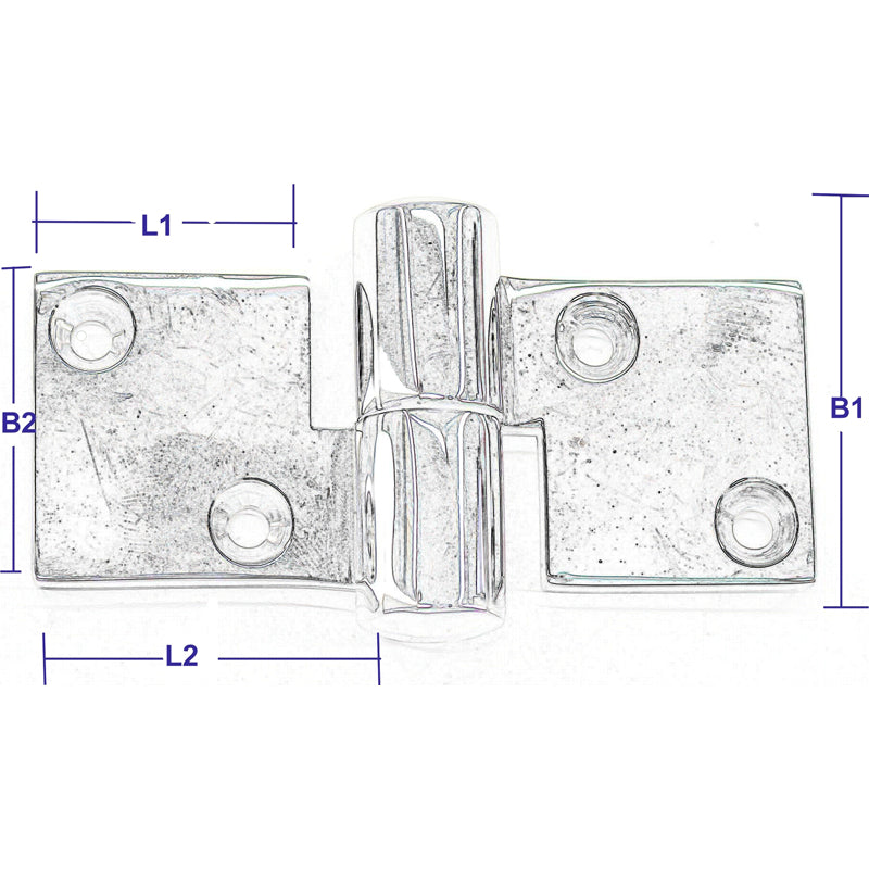 Hinge w/loose pin AISI 316