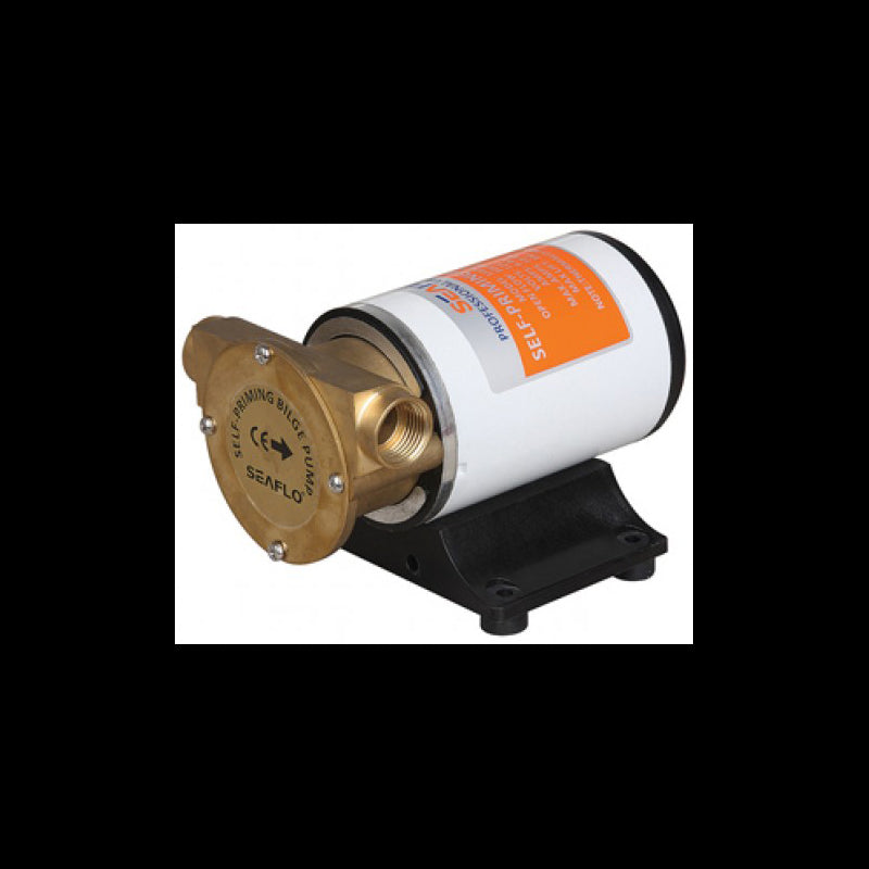 Bilge / flushing pump 12V